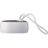 Draadloze Gerecycleerde ABS Speaker
