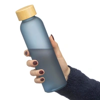 Glazen Drinkfles 500 ml - Levi