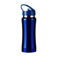 RVS fles Serena