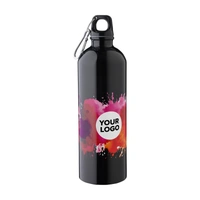 Gerecyclede roestvrijstalen enkelwandige fles (750 ml) Emeric