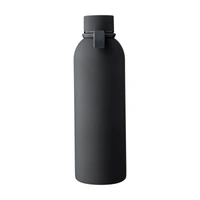 Gerecyclede roestvrijstalen dubbelwandige drinkfles (500 ml) Sena