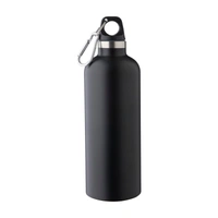 Gerecyclede roestvrijstalen dubbelwandige fles (500 ml) Lysandra