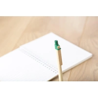 Kartonnen Eco Balpen