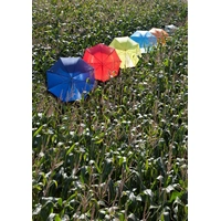 Automatische polyester paraplu Andy