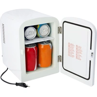 Kaleida mini koelkast 4L