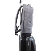 600D Polyester Anti-Diefstal Rugtas