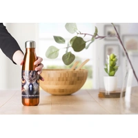 Roestvrijstalen Fles 650 ml