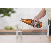 Roestvrijstalen Fles 650 ml