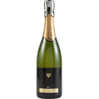 Roestvrijstalen Champagne Stopper