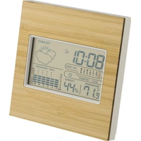 Bamboe Weerstation Lia