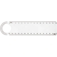 Transparante 15 cm PS Liniaal met Loep