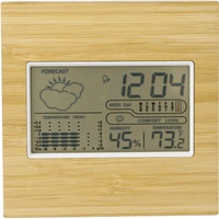 Bamboe Weerstation Lia