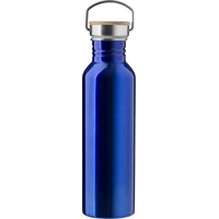 RVS Drinkfles 700 ml