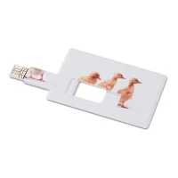 MEMORAMA USB Creditcard 16GB