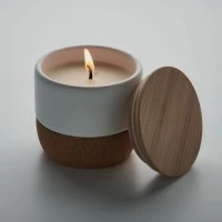 Plantaardige Geurkaars 80 gr