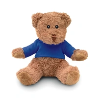 Teddybeer met T-shirt