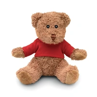Teddybeer met T-shirt