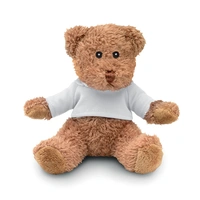 Teddybeer met T-shirt