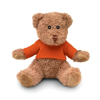 Teddybeer met T-shirt