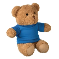 Teddybeer 23cm met T-shirt