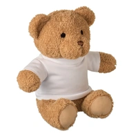 Teddybeer 23cm met T-shirt