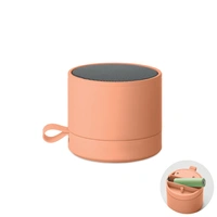 RECAR 5.1 Draadloze Luidspreker