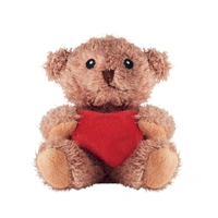 Pluche Teddybeer met Hart