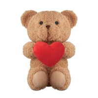 Pluche Teddybeer met Hart 23 cm
