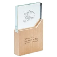 Kristallen Award op Houten Basis