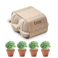 CRESS Kweekset in Eierdoos
