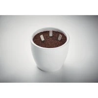 Kruidenstokjes met Zaden