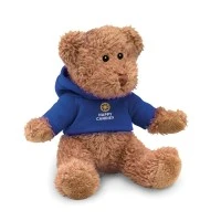 Teddybeer met Hoodie