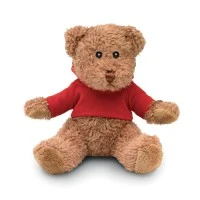 Teddybeer met Hoodie