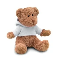 Teddybeer met Hoodie