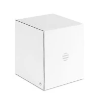 Draadloze Tafel- en Campingluidspreker