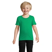 Helder Groen