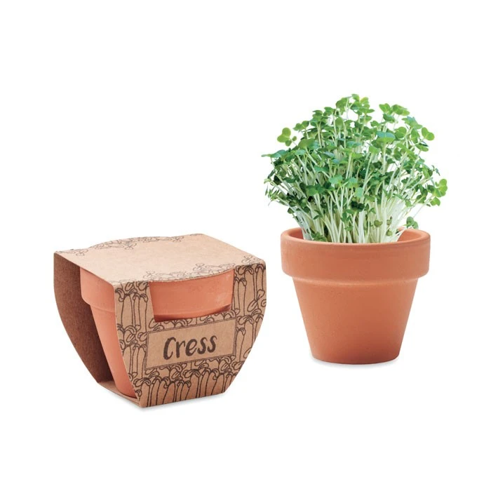 Cress Potje met Tuinkers