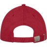 Darton 6 panel sandwich cap-1151