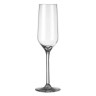 Carre Champagneflute 22 cl-65880